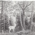 Bambi ja sarvip&ouml;ll&ouml; incognito I, 2010 (&copy; Johanna Kiivaskoski)